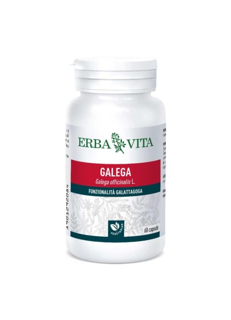 GALEGA 60CPS 350MG ERBAVITA