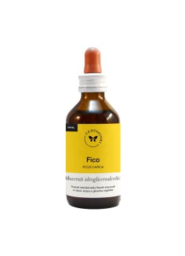 FICO GEMME 100ML MG