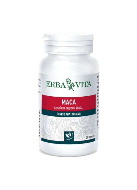 MACA 60CPS 400MG EBV<