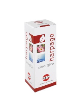 HARPAGO SINERGICO GTT 100ML KO