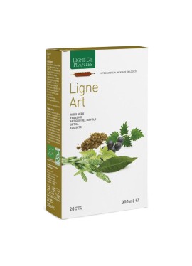 LIGNE ART 20ABX15ML