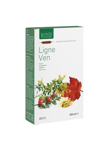 LIGNE VEN BIO 20 AMPOLLE 15ML