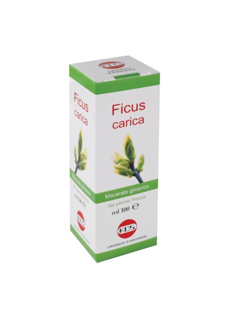 FICUS CARICA MG 100ML GTT