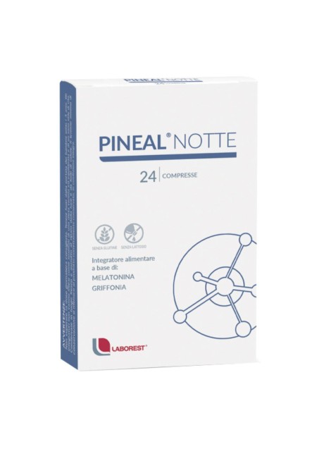PINEAL NOTTE 24CPR