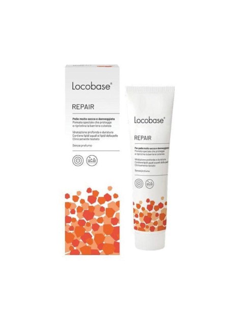 LOCOBASE-REPAIR 100G