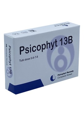 PSICOPHYT 13/B 4TB
