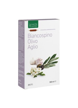 BIANCOSPINO/OLIVO/AGL 20ABX15M