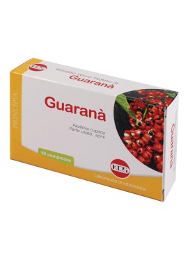 GUARANA ESTR SEC 60CPR