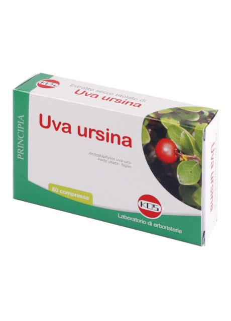 UVA URSINA E.S. 60 CPR 300MG K