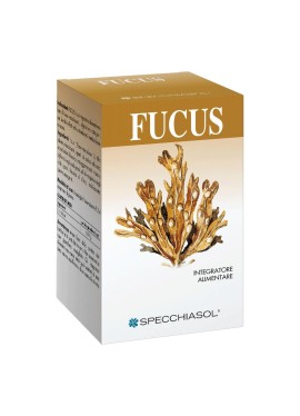 FUCUS ERBE 150TAV SPECCH