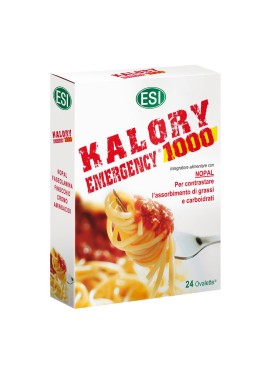 KALORY EMERGENCY 1000 24OV ESI