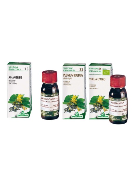 GENZIANA 50ML TM SPECCHIASOL