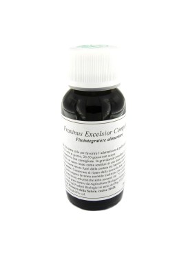22N FRAXINUS EXCELSIOR COM LVS