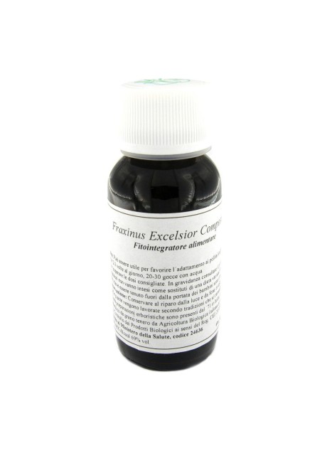 22N FRAXINUS EXCELSIOR COM LVS