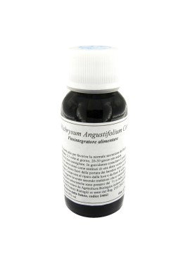 47C HELICHRYSUM ANGUSTIF COMP