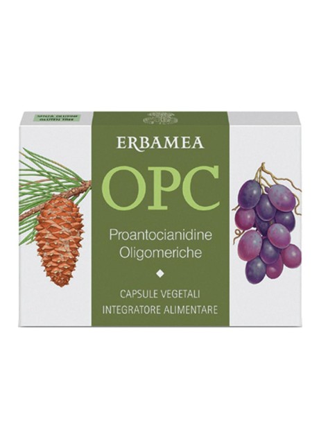 OPC 24CPS VEG S/GL 500MG ERBAMEA