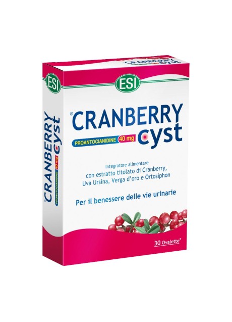 CRANBERRY CYST 30 OVALETTE ESI