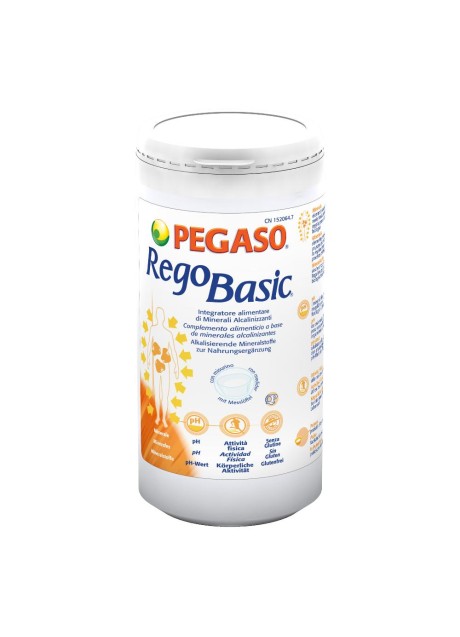 REGOBASIC POLVERE 250G