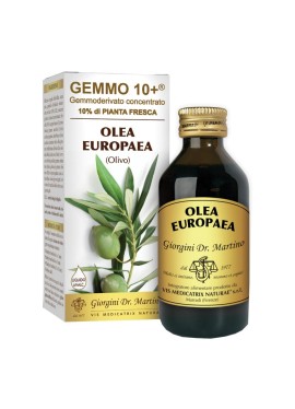 OLIVO 100ML ANALCO GEMMO 10+