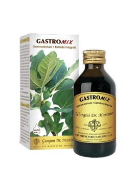 GASTROMIX LIQUIDO ANALC 100ML