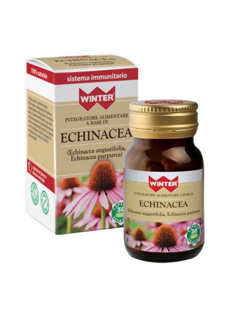 WINTER ECHINACEA 30CPS VEG