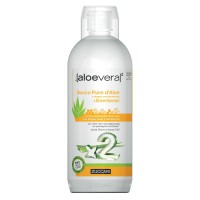 Aloevera2 puro succo d'Aloe a doppia concentrazione + enertonici 1 litro
