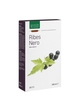 RIBES NERO BIO 20AB 15ML