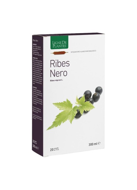 RIBES NERO BIO 20AB 15ML
