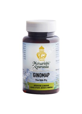 GINOMAP 60TAV