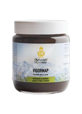VIGORMAP PASTA 600G