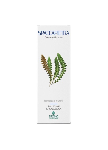 SPACCAPIETRA SOMMITA TT 100G