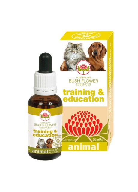 TRAINING & EDUCATION 30ML