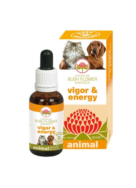 VIGOR & ENERGY 30ML