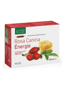 ROSA CANINA ENERGY 10FLL 10ML