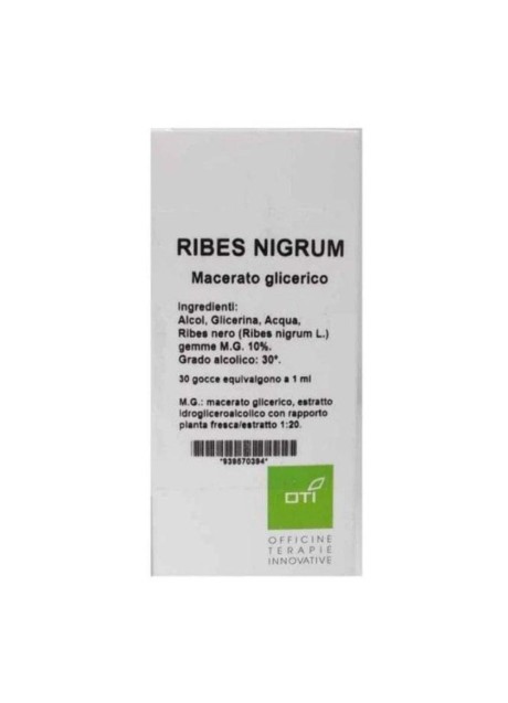 RIBES NIGRUM MG10% GOCCE 100ML