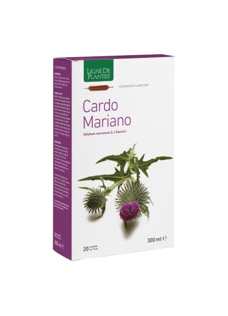 CARDO MARIANO 20AB 15ML