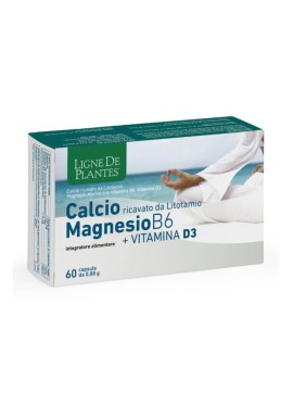 CALCIO+MAGNESIO B6+VITD3 60CPS