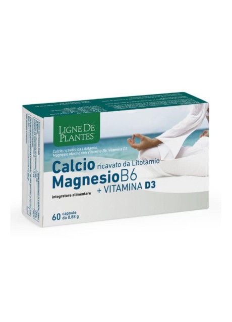 CALCIO+MAGNESIO B6+VITD3 60CPS