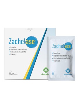 ZACHELASE 20BUST