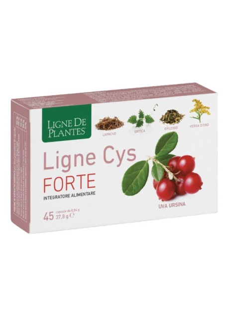 LIGNE CYS FORTE 45CPS NATURA S