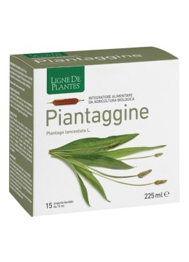 PIANTAGGINE 15AMP 15ML NATURA