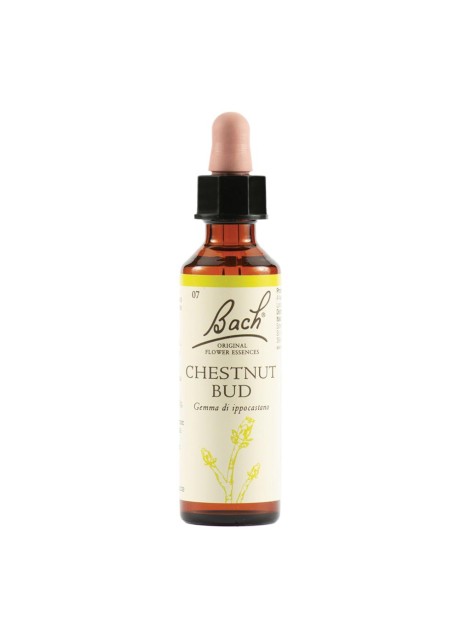 CHESTNUT BUD BACH ORIG 20ML