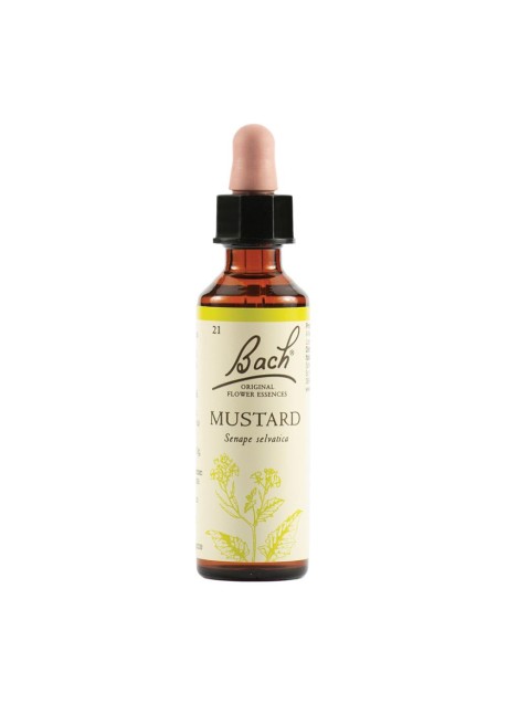 MUSTARD BACH ORIG 20ML