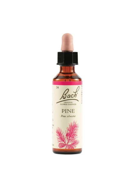 PINE BACH ORIG 20ML