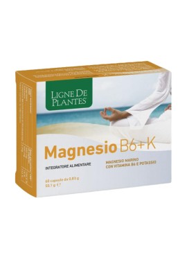 MAGNESIO B6 + K 60CPS NATURA S