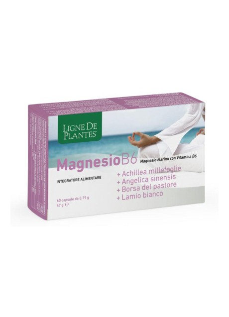 MAGNESIO B6+ACHILLEA+ANGELICA+