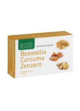 BOSWELLIA CURCUMA ZENZERO60CPS