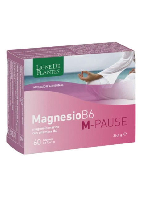 MAGNESIO B6 M-PAUSE 66CPS
