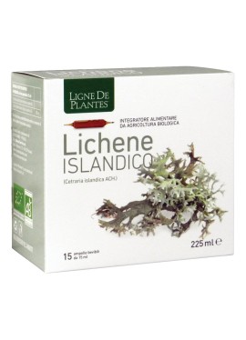 LICHENE ISLANDICO 15AMPX15ML