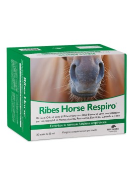 RIBES HORSE RESPIRO 30BUST